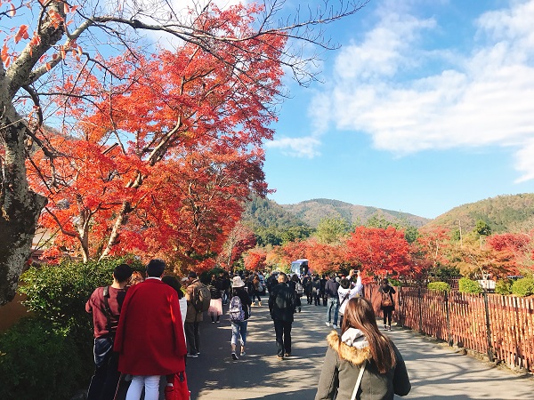 天龍寺 紅葉2018 2