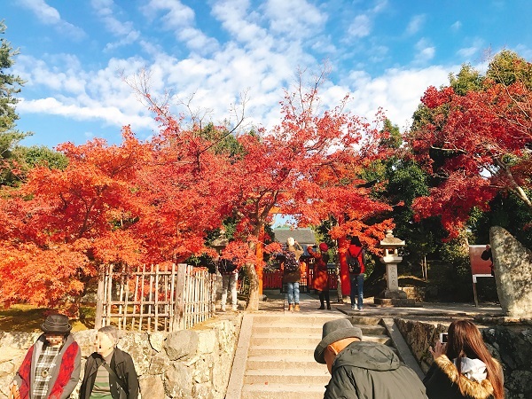 天龍寺 紅葉2018 4