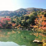 【紅葉2018】秋の嵐山･天龍寺に行ってきました