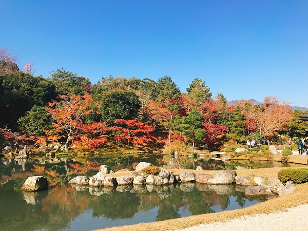 曹源池庭園 紅葉 2