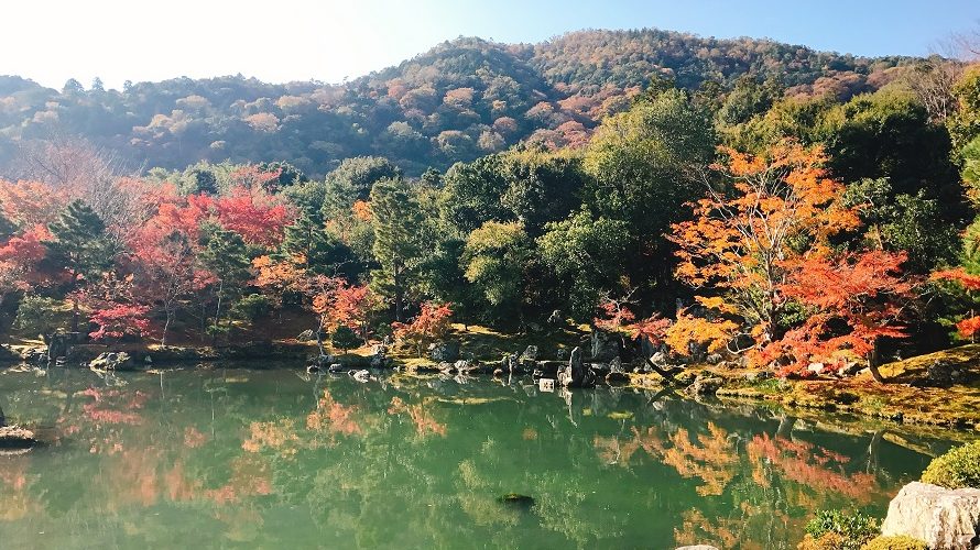 【紅葉2018】秋の嵐山･天龍寺に行ってきました