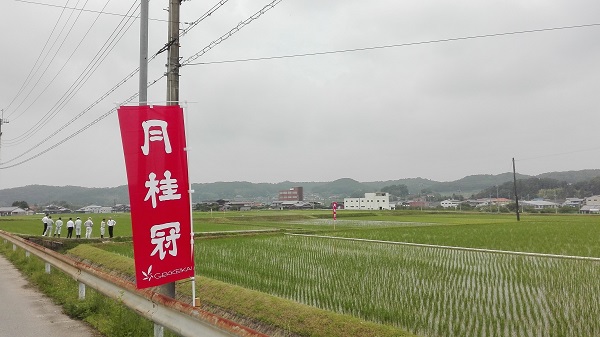 月桂冠 村米制度