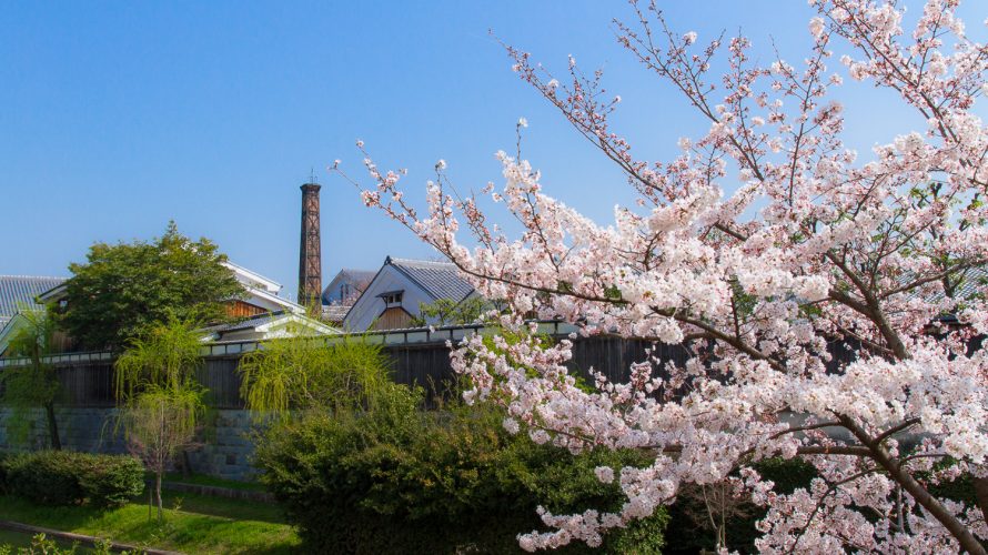 記念館と桜