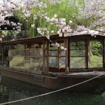 桜と柳に浮かぶ運航待ちの十石舟